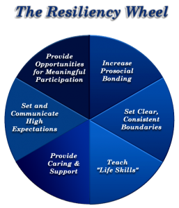 Using The Resiliency Wheel In Crisis Intervention Resiliency In